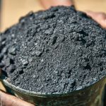 farmer's hands holding soil in a crop field