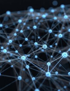 network of connected blockchain nodes