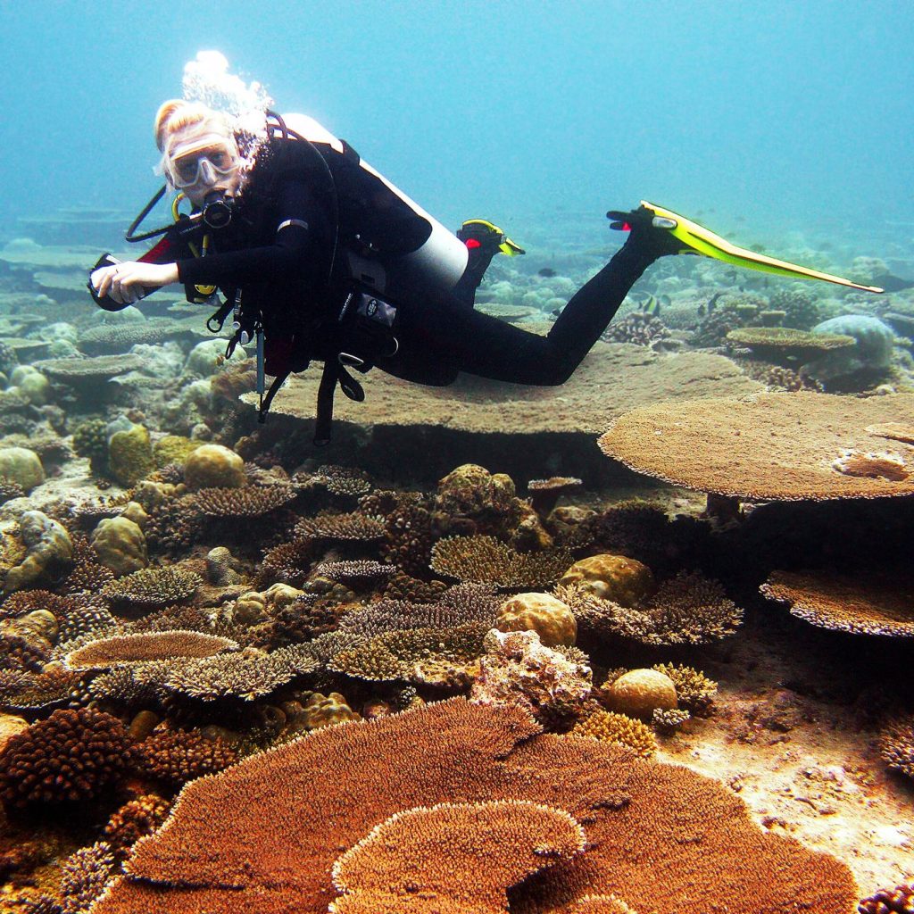 Photograph related to coral reef restoration, showing coral reef diver underwater.