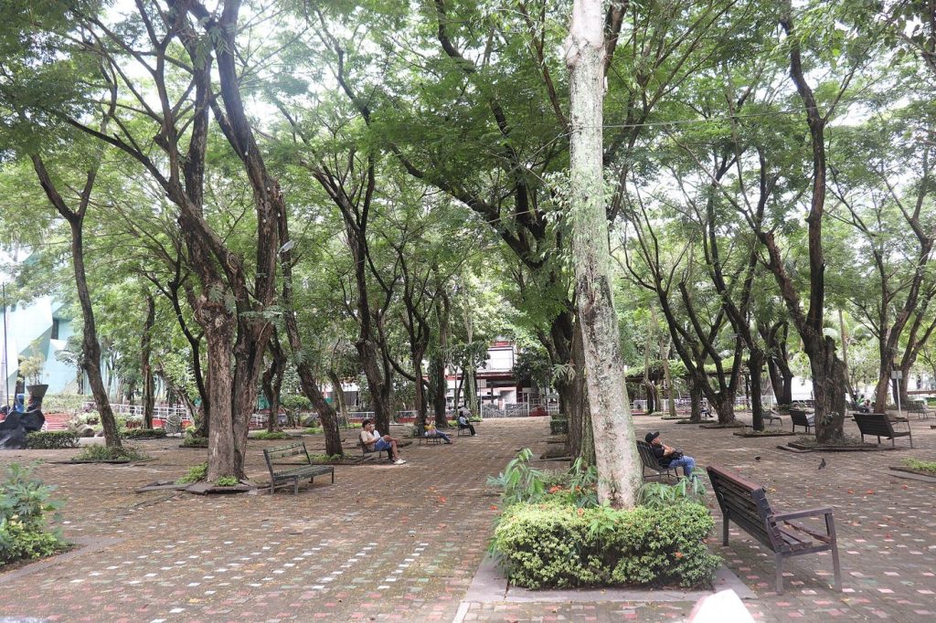 Photograph related to urban cooling programmes, showing city park shade trees people.