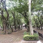 Photograph related to urban cooling programmes, showing city park shade trees people.